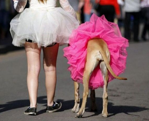 funny-pictures-379