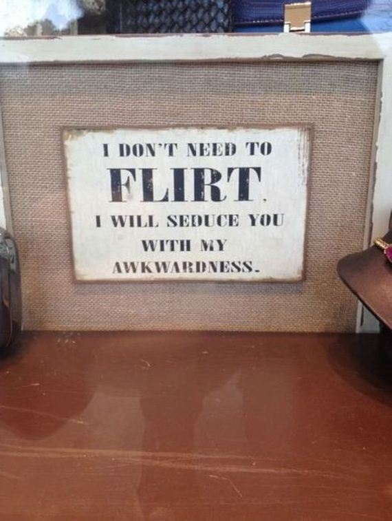 funny-pictures-379