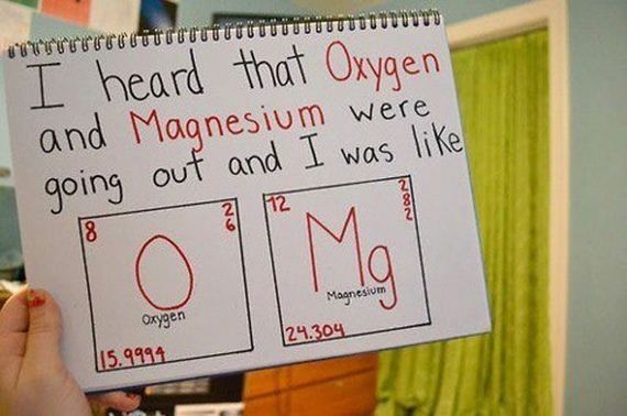 funny-pictures-379