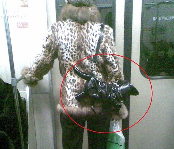 funny-pictures-379