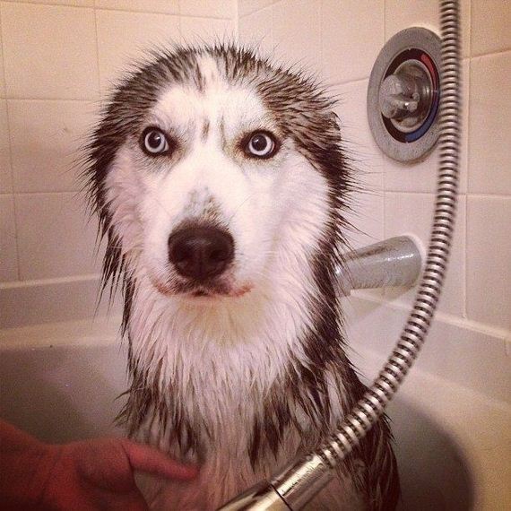 funny-pictures-380