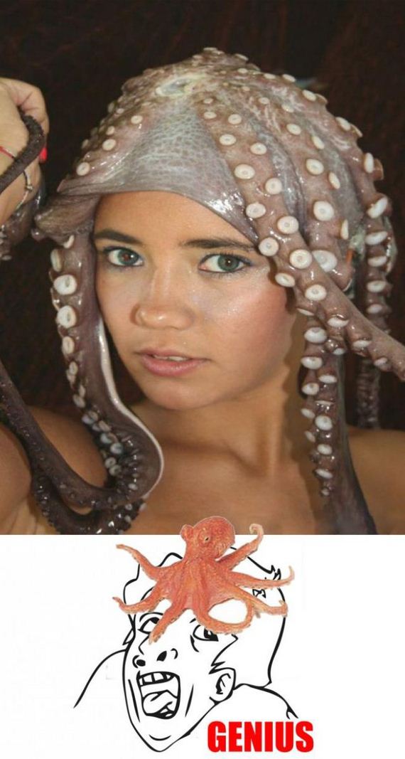 funny-pictures-380