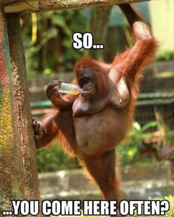 funny-pictures-380