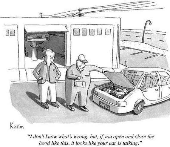 funny-pictures-380