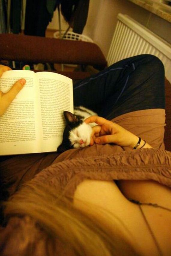 funny-pictures-381