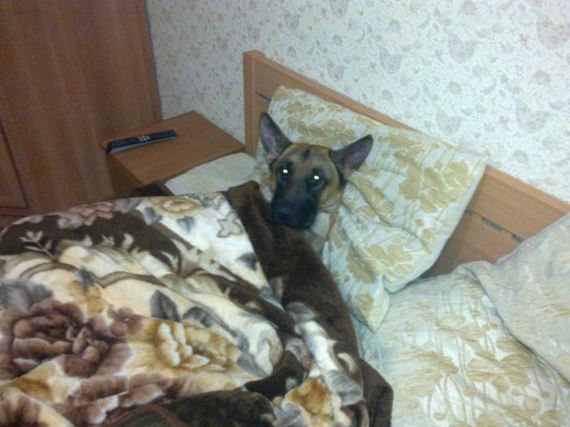 funny-pictures-382