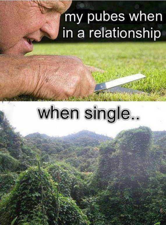 funny-pictures-382