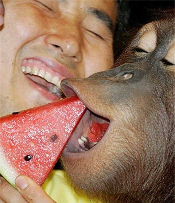 funny-pictures-384