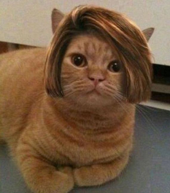 funny-pictures-384