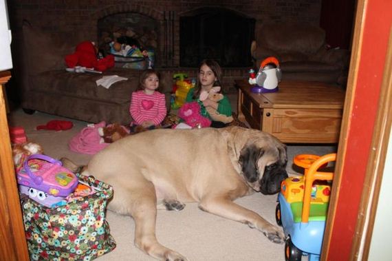 funny-pictures-384