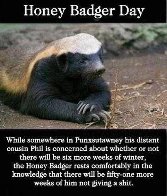 funny-pictures-384