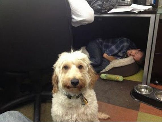funny-pictures-384