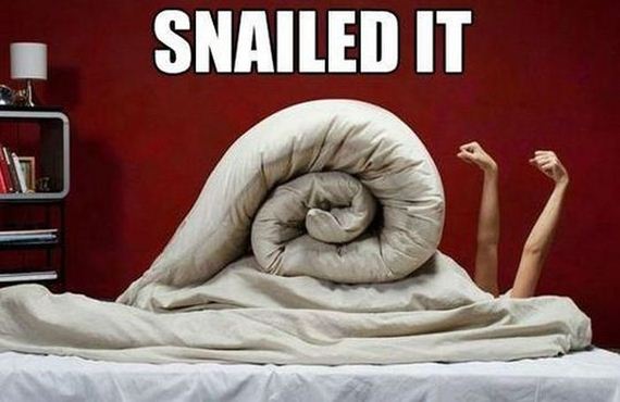 funny-pictures-384