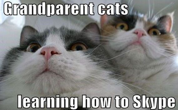 funny-pictures-384