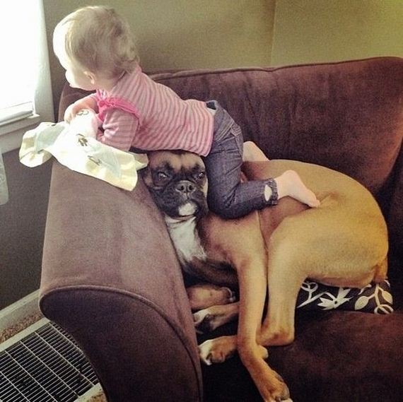 funny-pictures-384