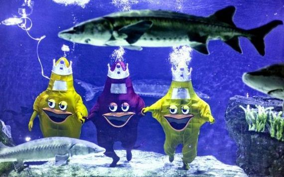 funny-pictures-386