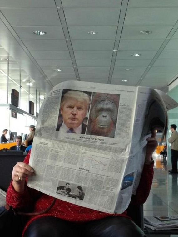 funny-pictures-386