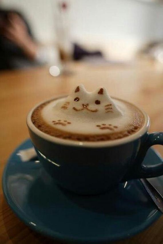 funny-pictures-386