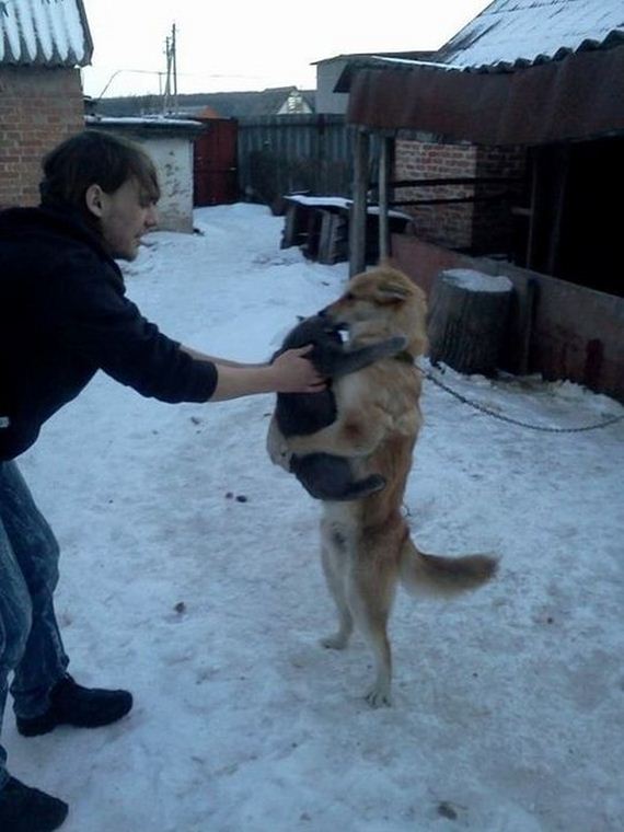 funny-pictures-386