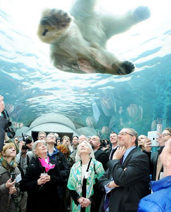 funny-pictures-386