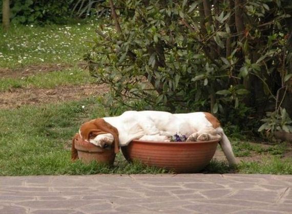 funny-pictures-387