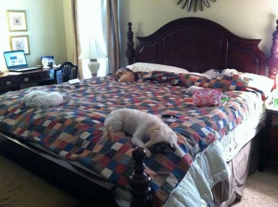 funny-pictures-387