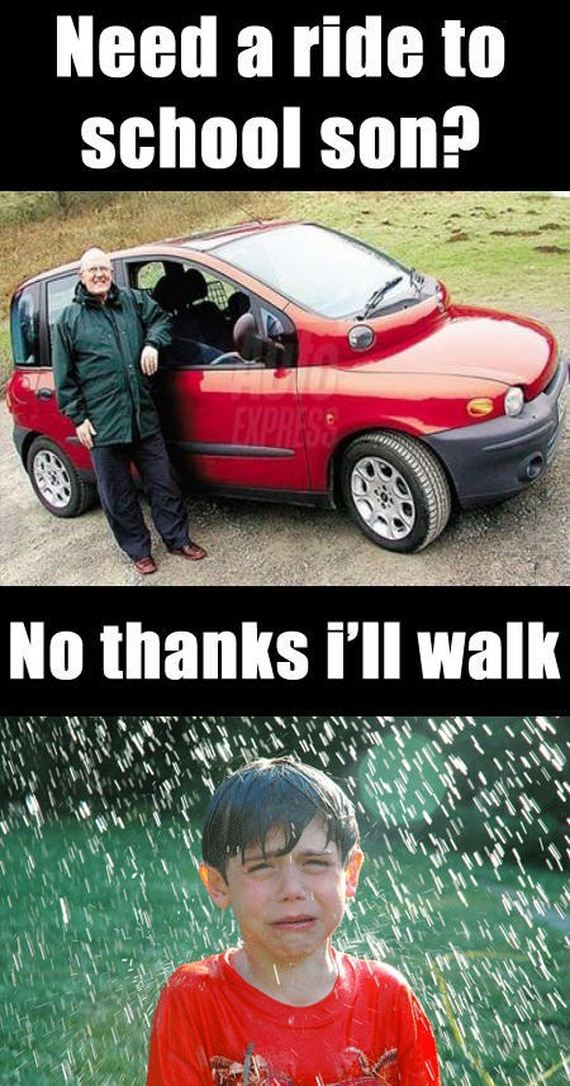 funny-pictures-387
