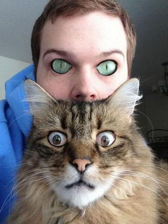 funny-pictures-388