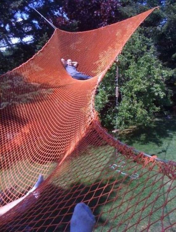 funny-pictures-388