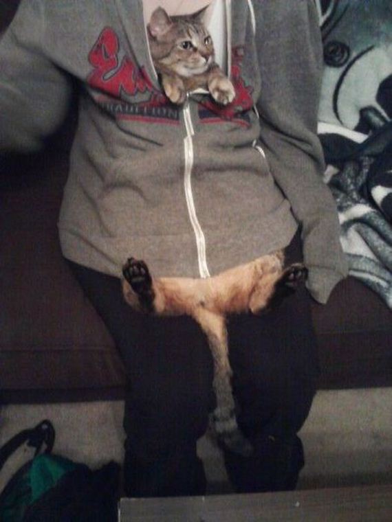 funny-pictures-388