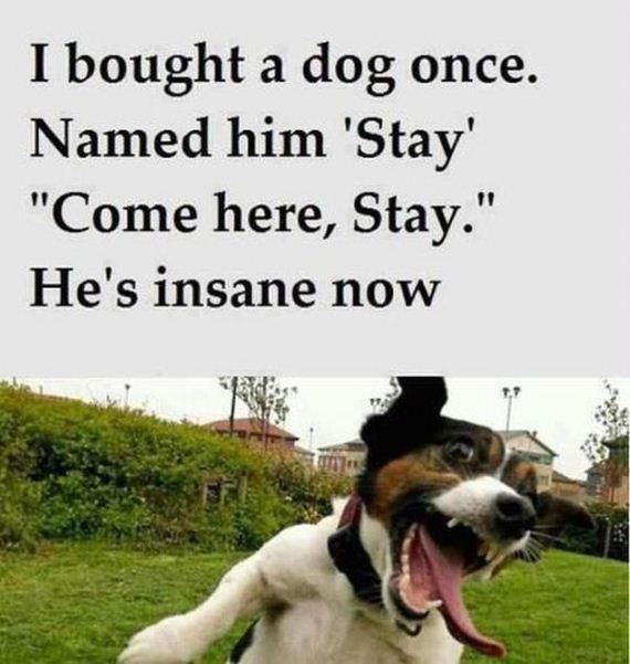 funny-pictures-389