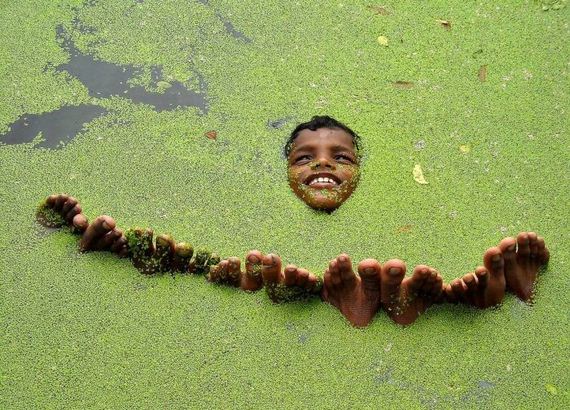 funny-pictures-389