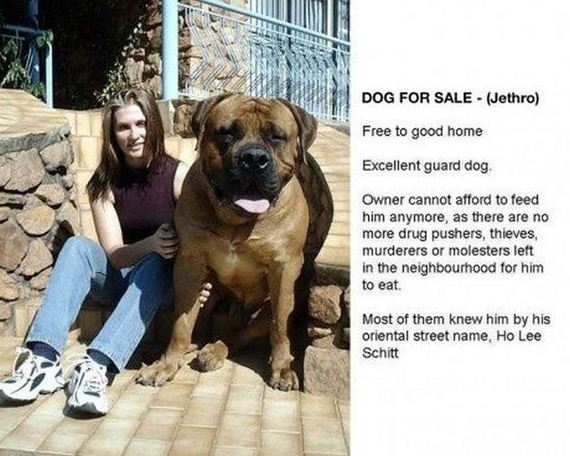 funny-pictures-389