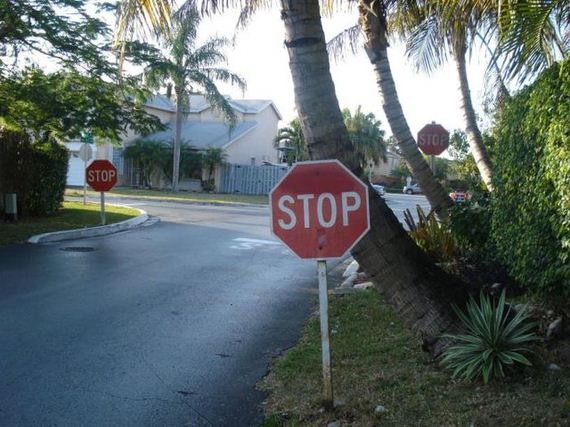 funny-pictures-389
