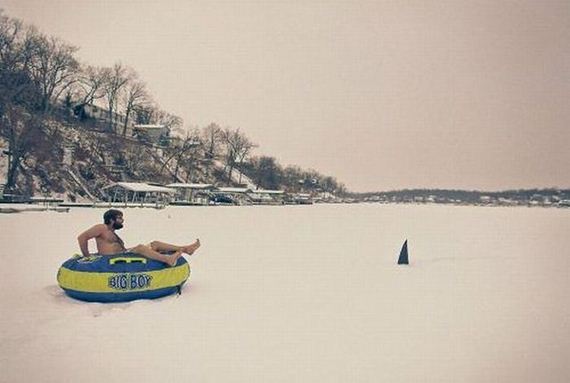 funny-pictures-389