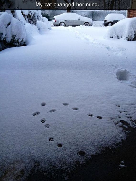 funny-pictures-389