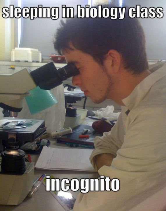 funny-pictures-389