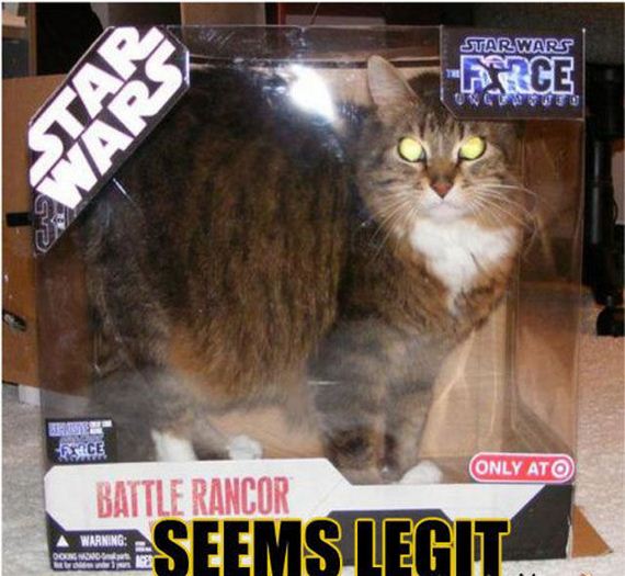 funny-pictures-389