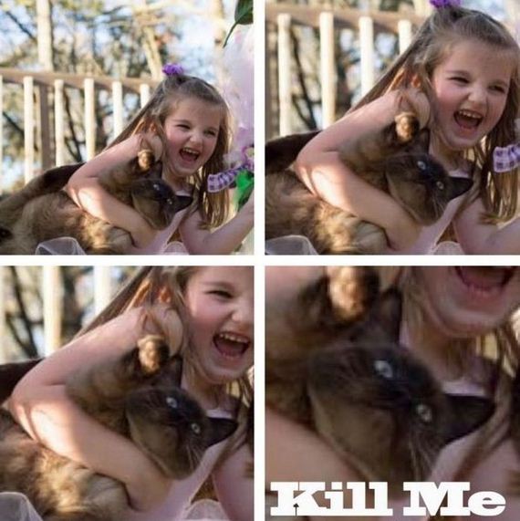 funny-pictures-391