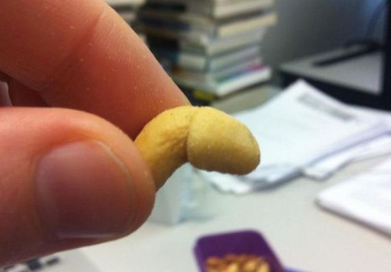 funny-pictures-391