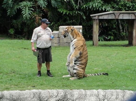 funny-pictures-391
