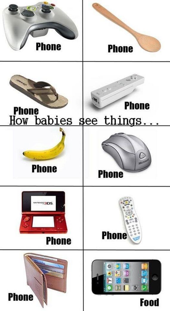funny-pictures-391