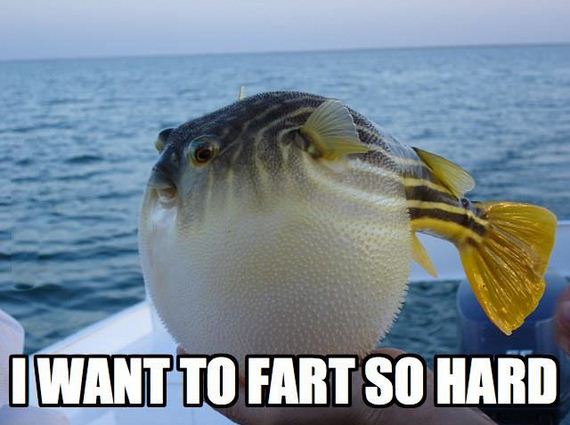 funny-pictures-392