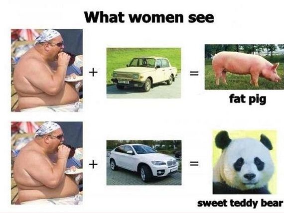funny-pictures-392