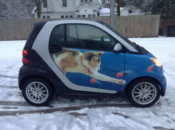 funny-pictures-392
