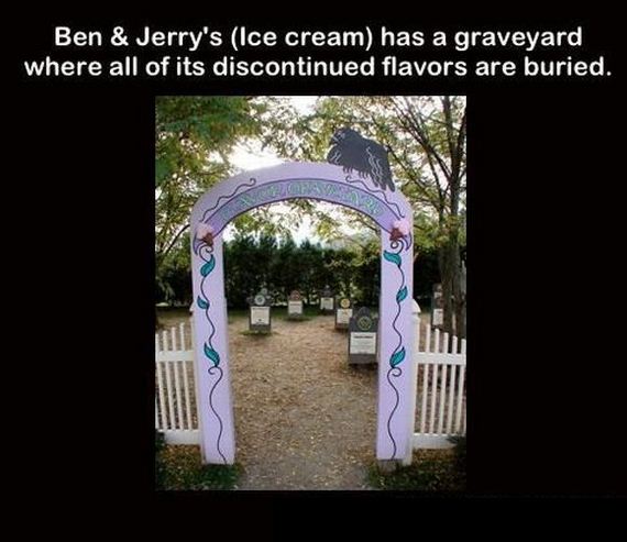 funny-pictures-392