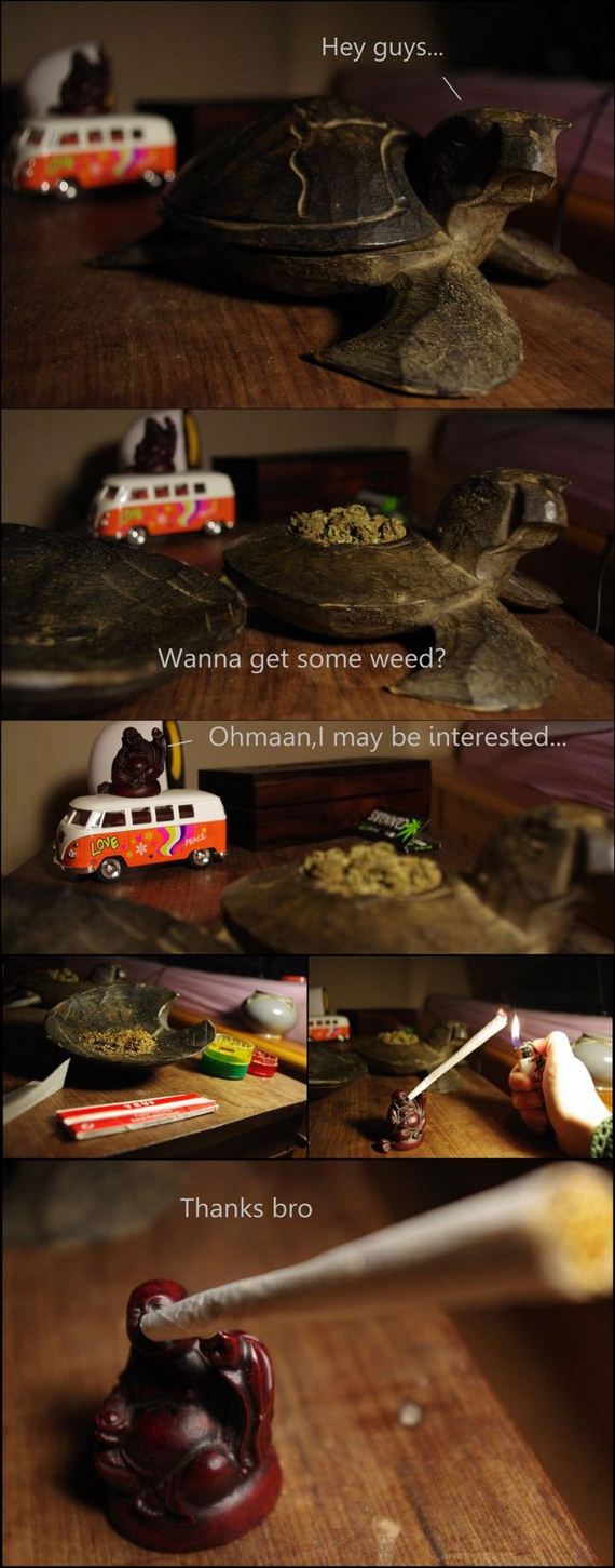 funny-pictures-393
