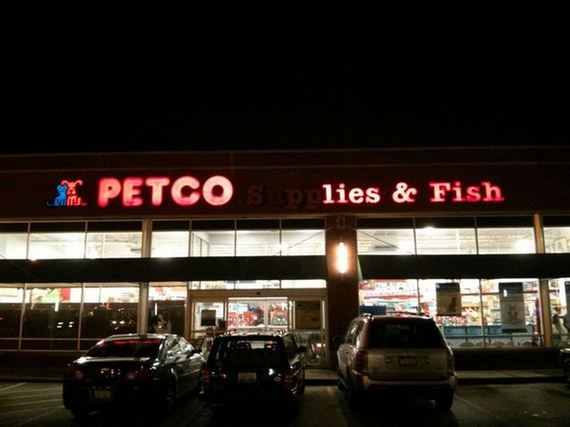 funny-pictures-394