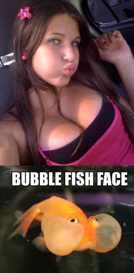 funny-pictures-395