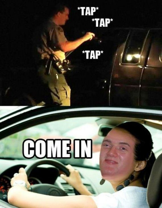 funny-pictures-395